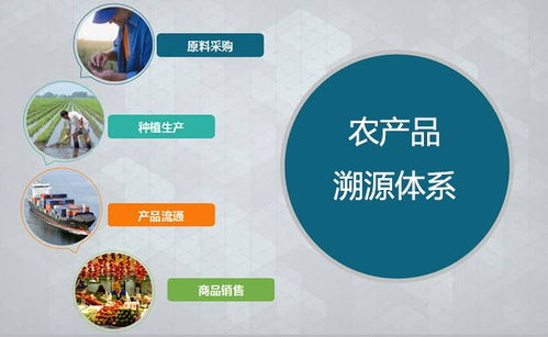 三維碼誠(chéng)信溯源超市 以物聯(lián)網(wǎng)技術(shù)賦能農(nóng)產(chǎn)品溯源，驅(qū)動(dòng)智慧農(nóng)業(yè)新未來(lái)